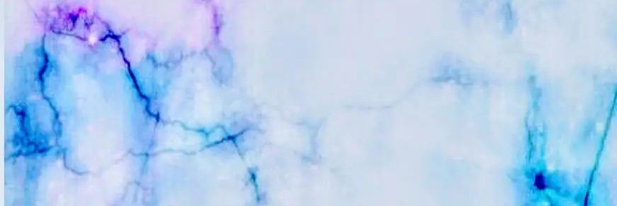 Taylorbb123's profile banner image
