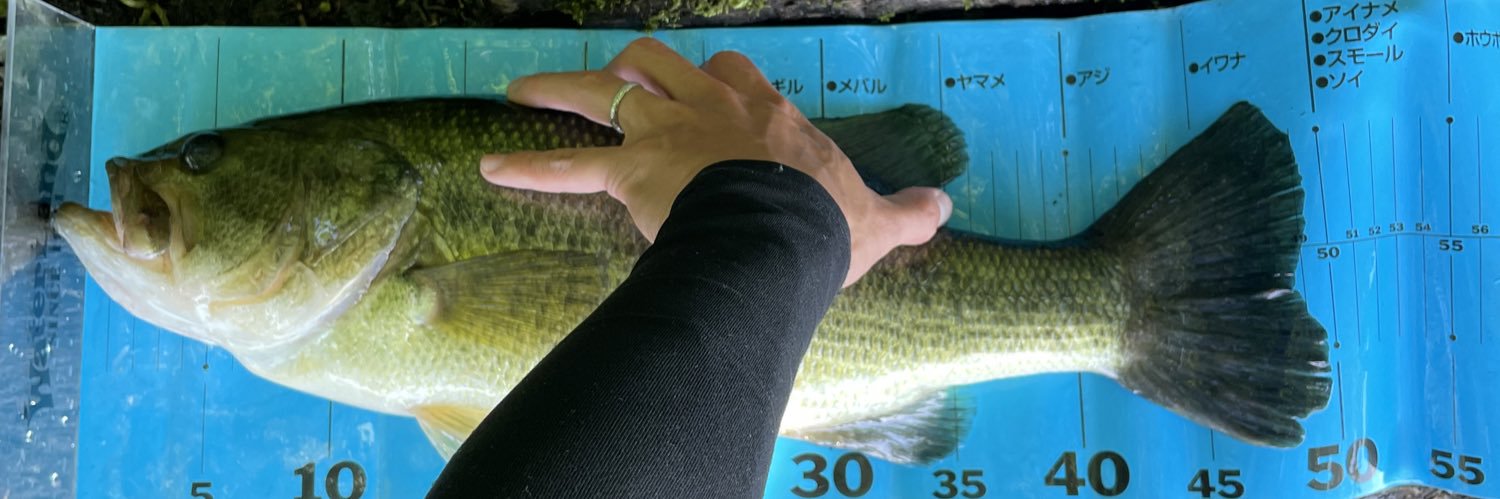 BASSおじ@釣人(つりんちゅ) banner