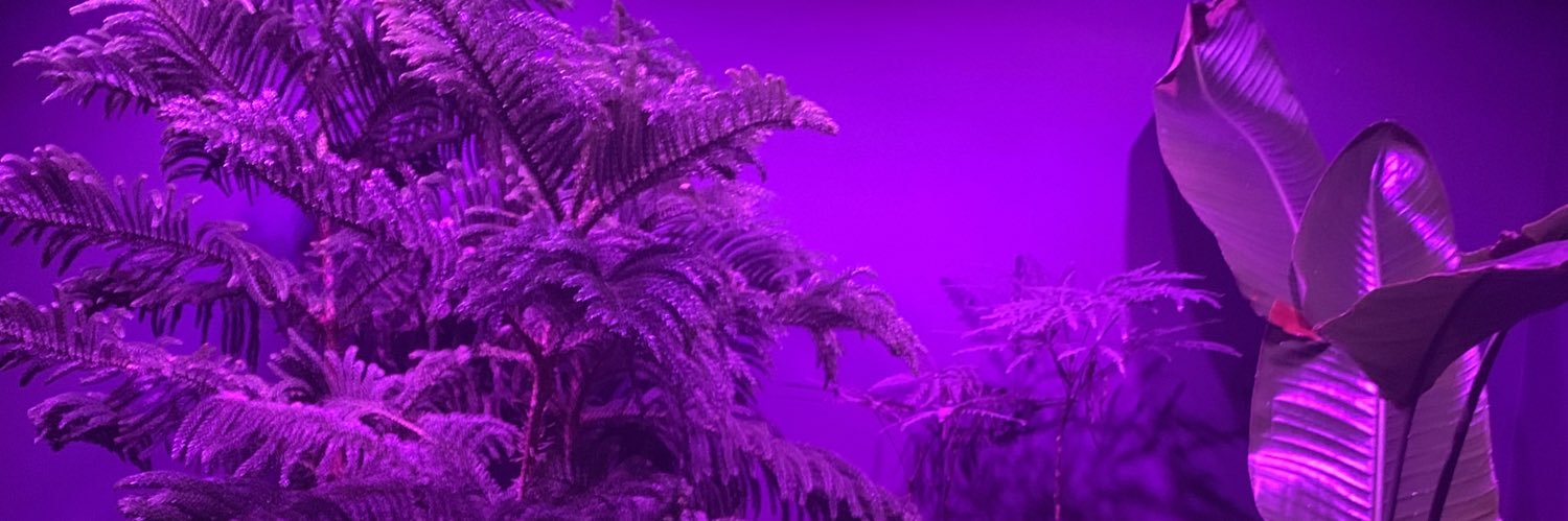 KaeBurke's profile banner image