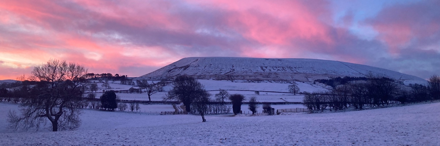 Kathryn Miller banner