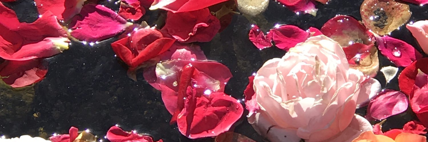 1017LISAA's profile banner image