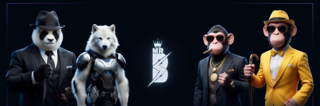 MR.B HYPE 👁️ banner