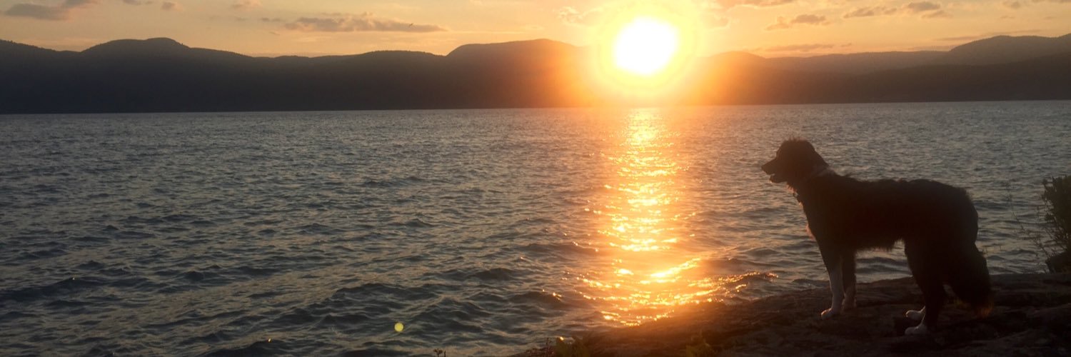 JuneJosephScott's profile banner image