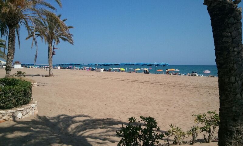 ACamsi's profile banner image