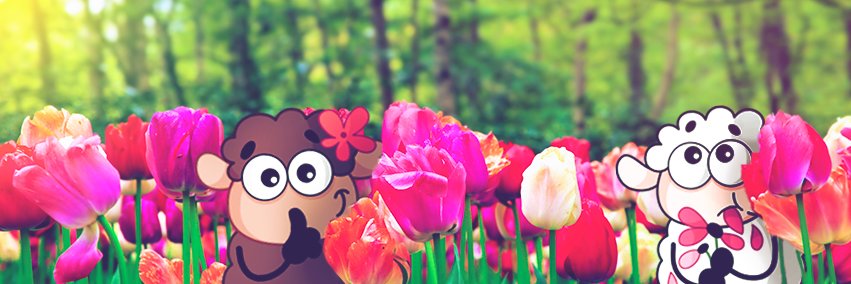 Viber_India's profile banner image
