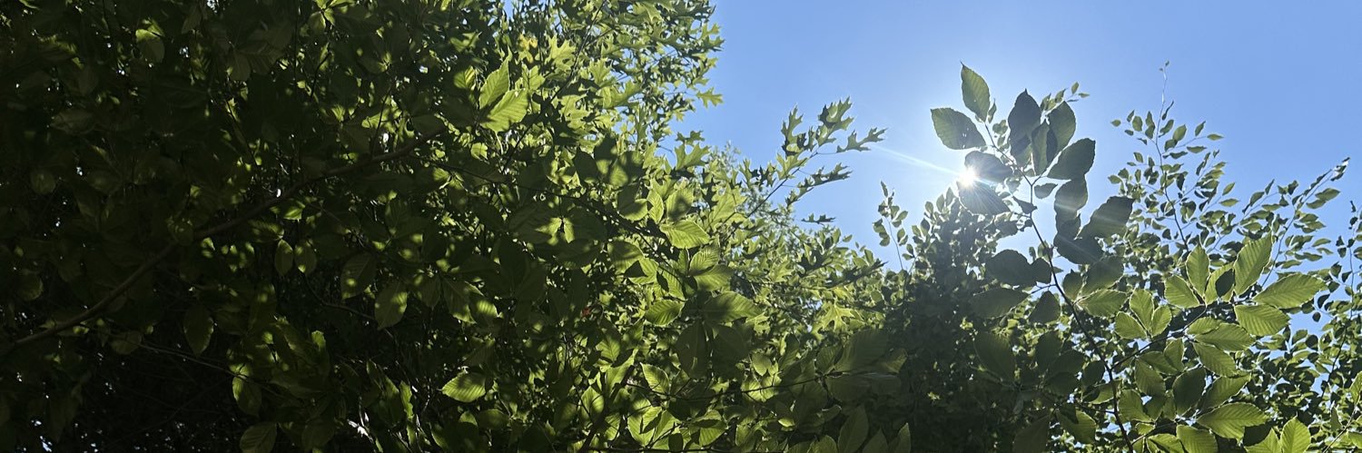 devyn_weathers's profile banner image