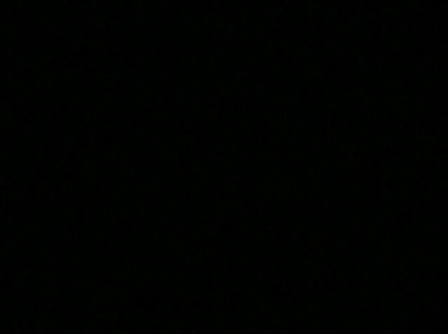 nidutami's profile banner image