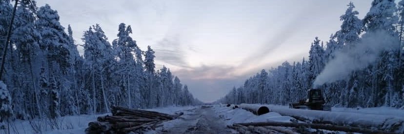 Надежда Михайлова banner