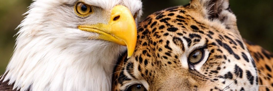 JavierGAB's profile banner image