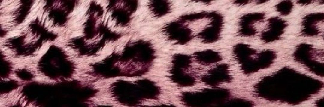 🖤 ♡ 🖤 ♡🖤 banner