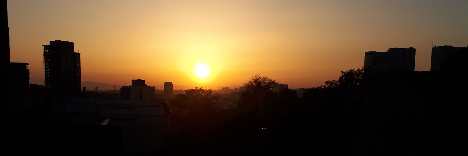 sonbirduble's profile banner image
