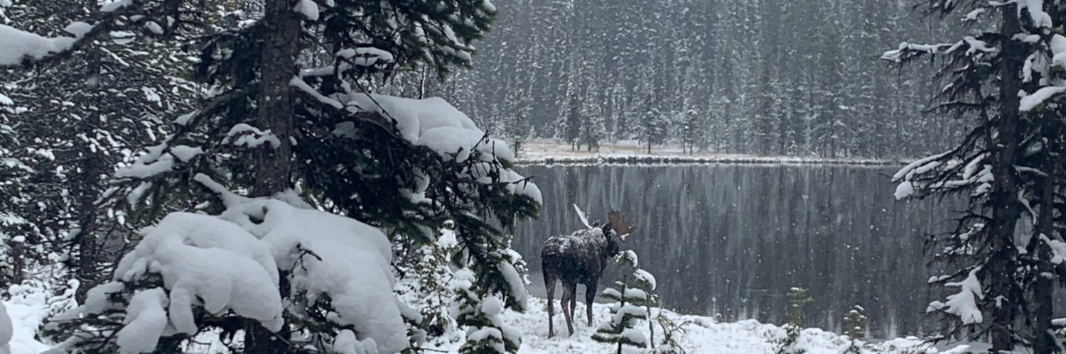 Chris Derickson banner