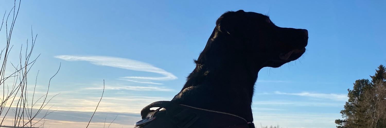 MattilaAnna's profile banner image