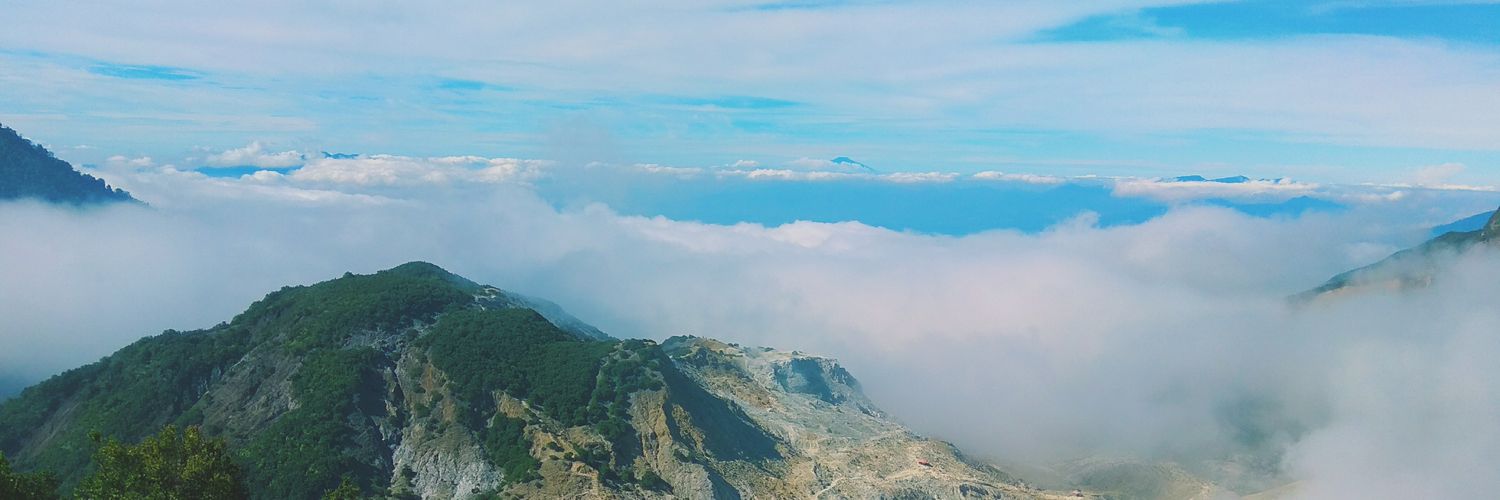 Anemophobiaa's profile banner image