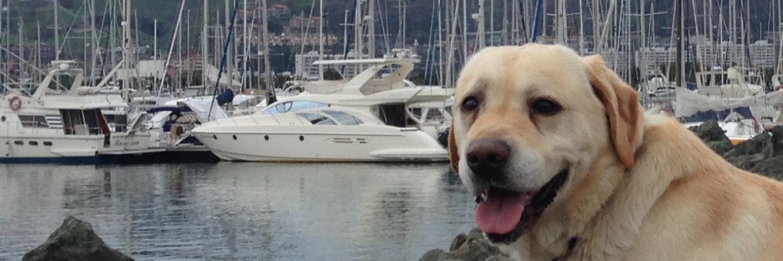 Jonealiri's profile banner image