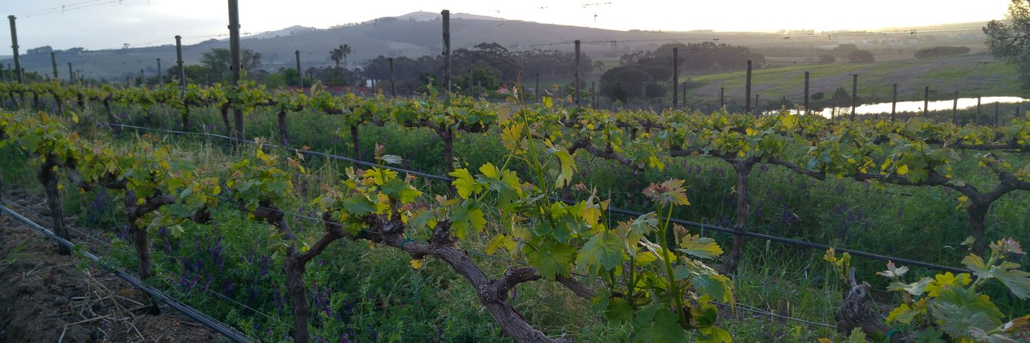 Deux Freres Wines banner