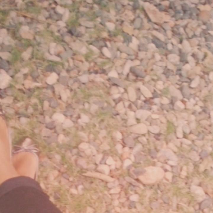MelaineSFP's profile banner image