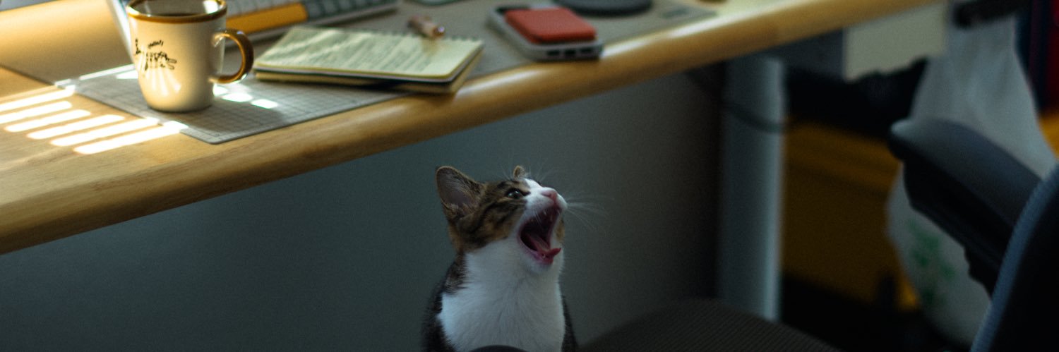 牛坂京介 Kyosuke Ushizaka banner