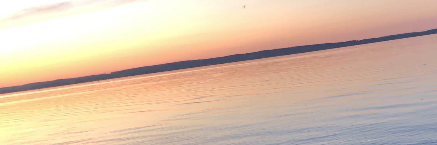 fuckingtweets13's profile banner image