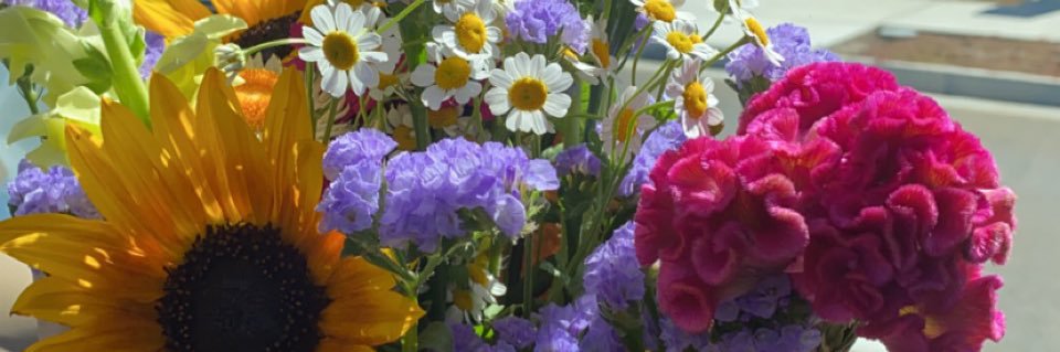 sunshine8888215's profile banner image