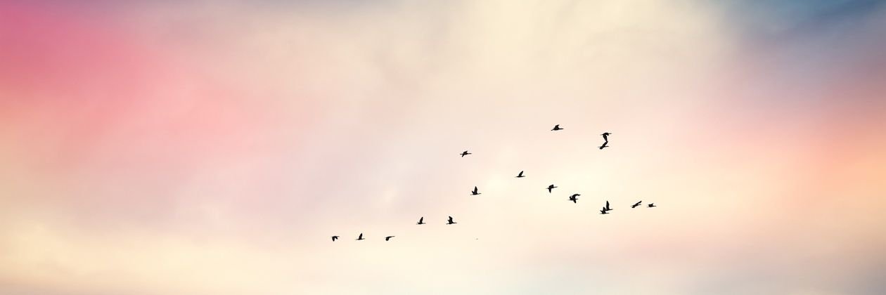 AzizianQ's profile banner image