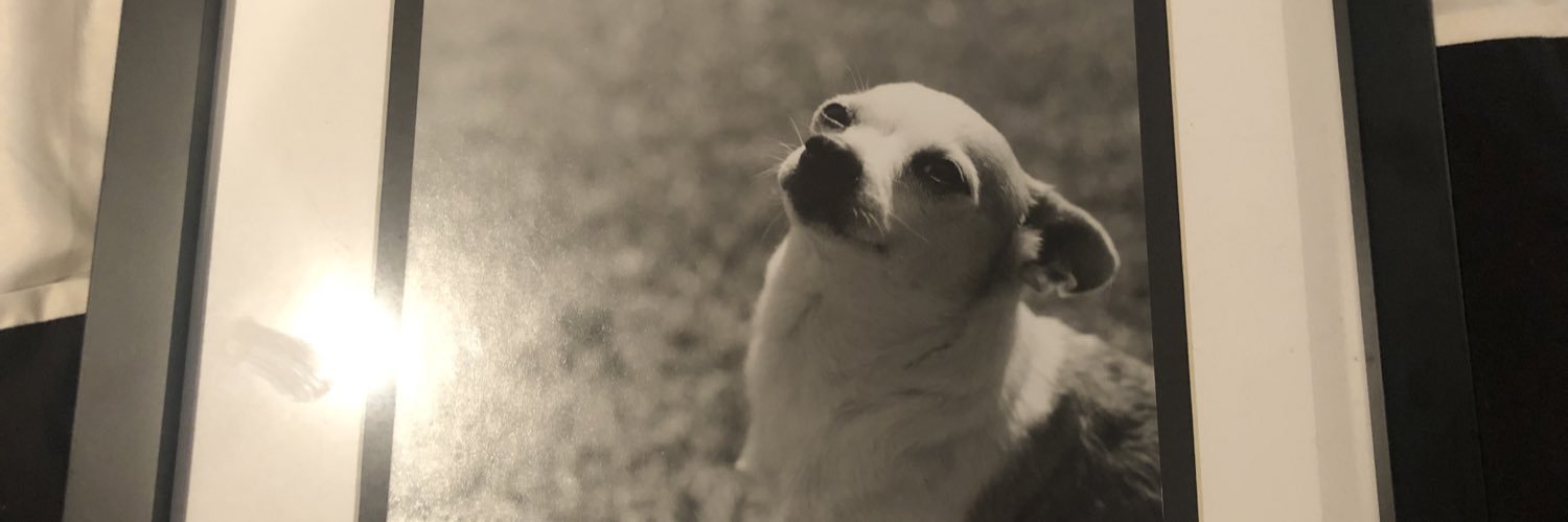 SirCabada_'s profile banner image