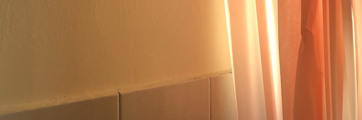 RidzmanZ's profile banner image