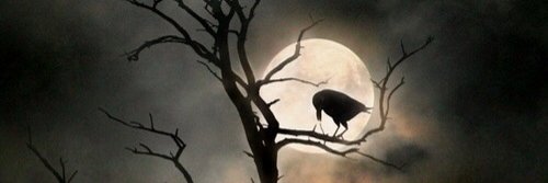 Evja777's profile banner image