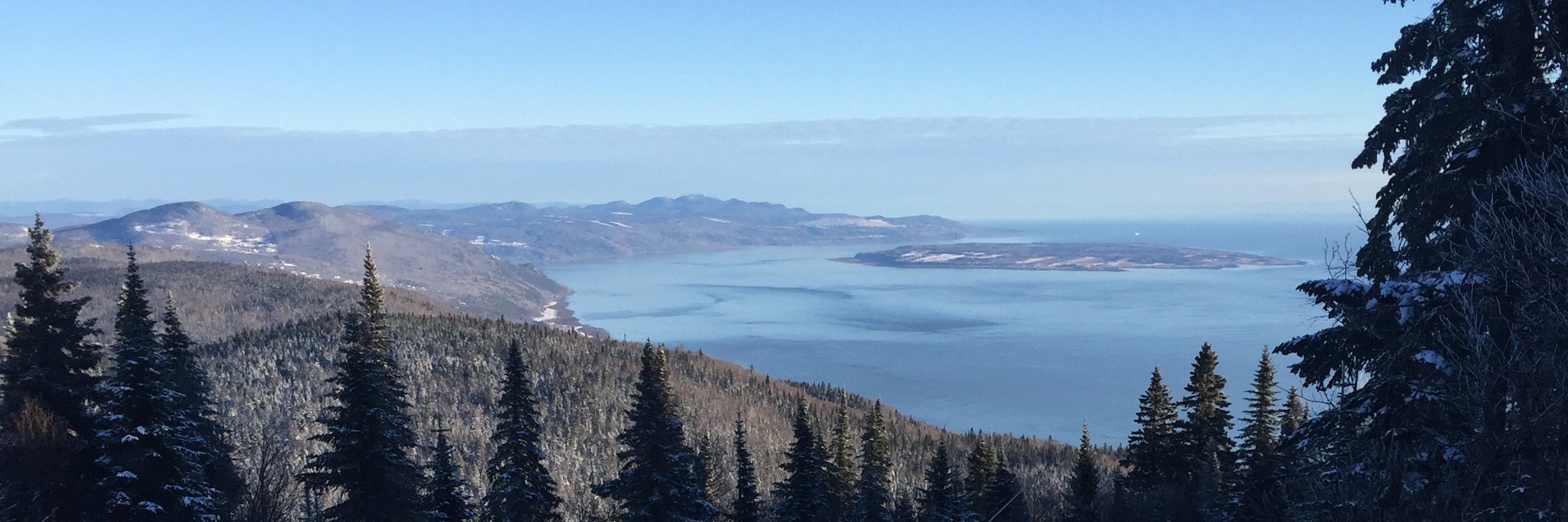 François Gélineau banner