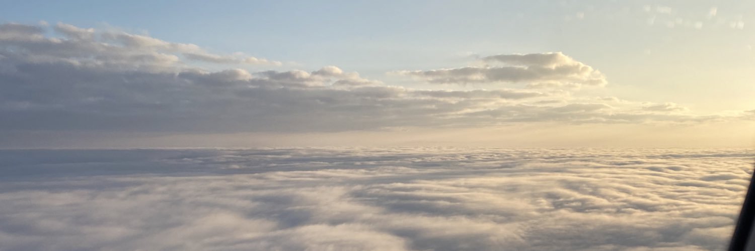 laurenncelestee's profile banner image