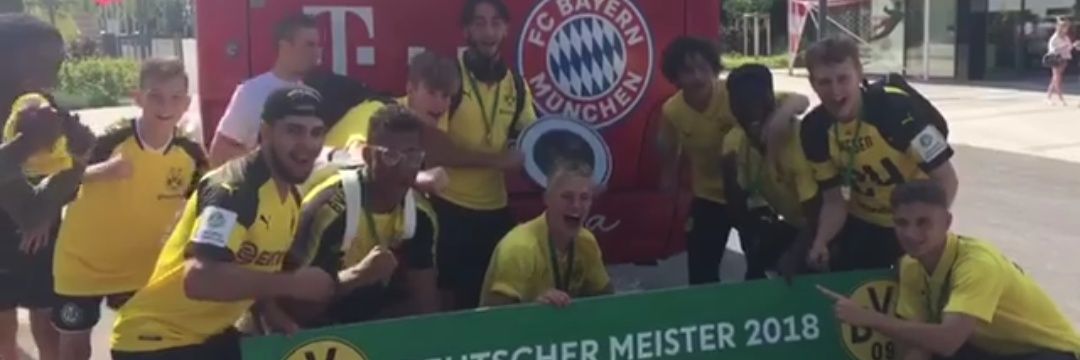 Dee BvB 🇮🇪 banner