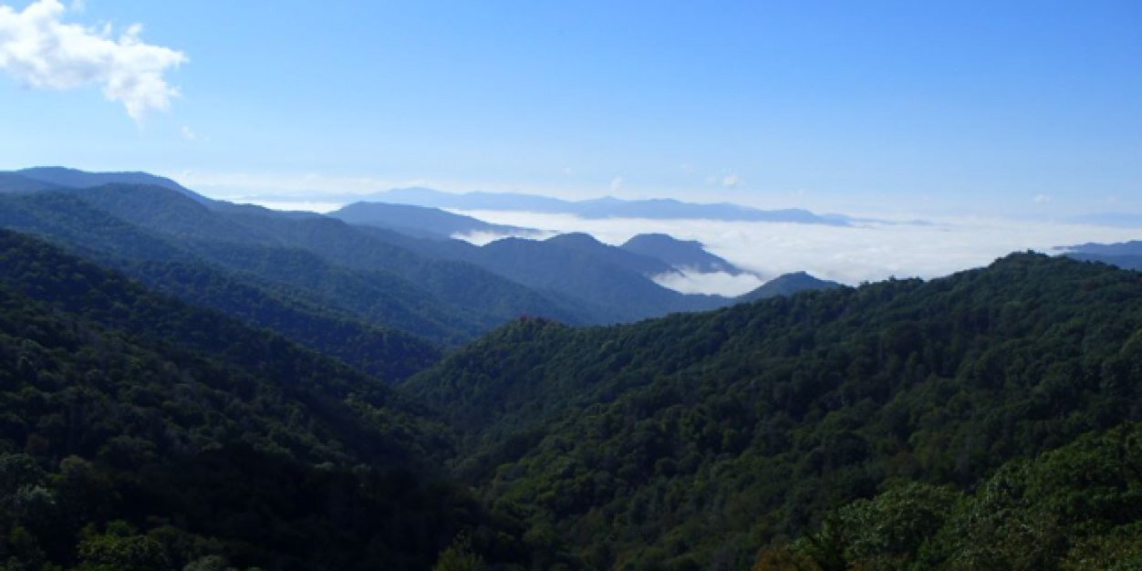 Paul Reed (mastodon: @perj44@ohai.social) banner