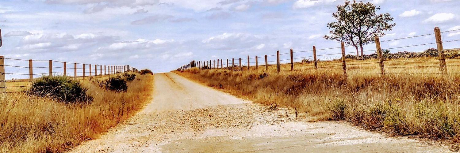 sergiofora's profile banner image