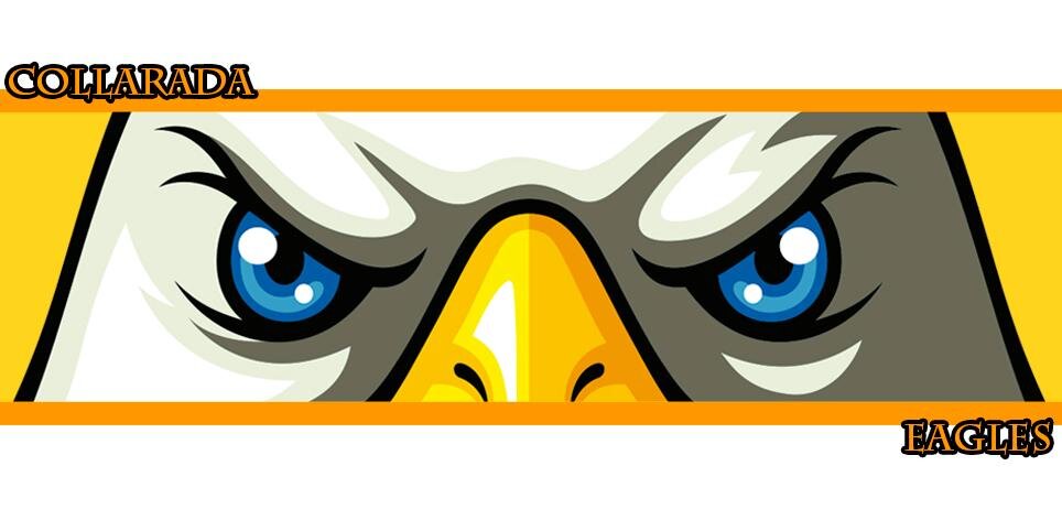CollaradaEagle's profile banner image