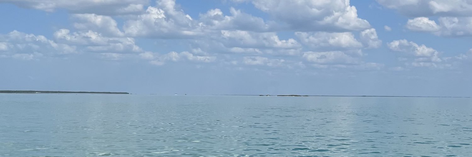 ValeeCMartinez's profile banner image