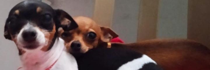 Michy🌻 banner