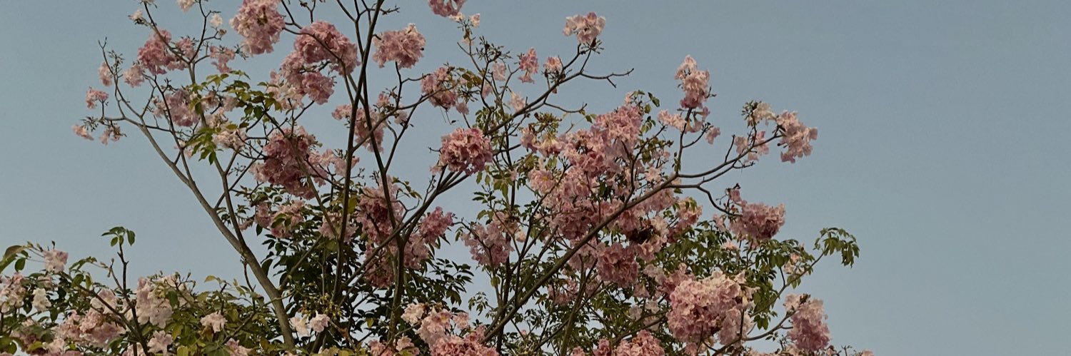 RichoGonzaga's profile banner image