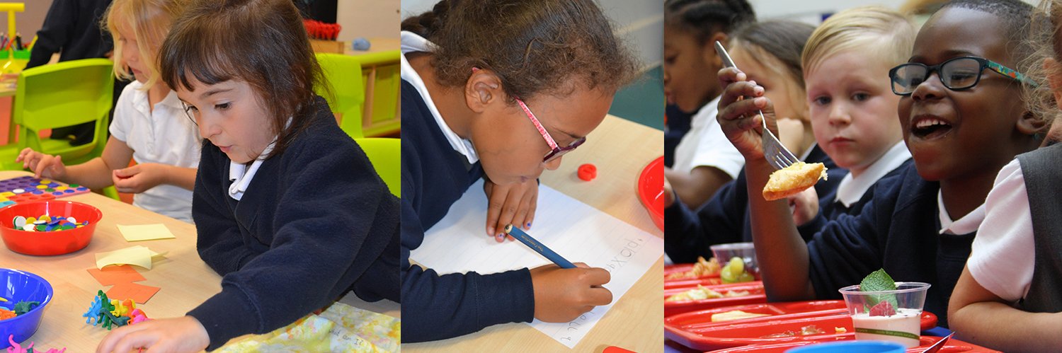 WellyPrimary's profile banner image