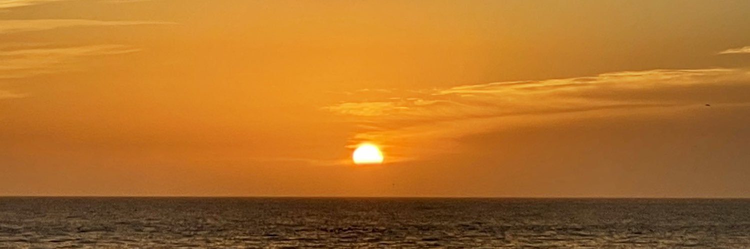 Scott Roecker banner