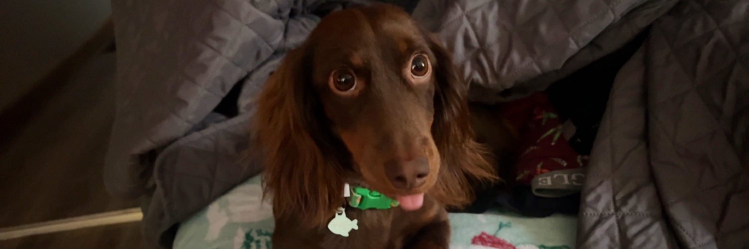 _jwhitney_'s profile banner image