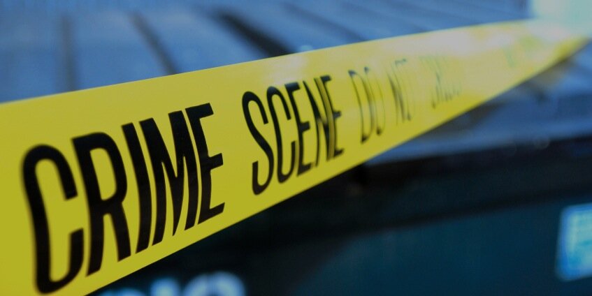 NHM_Forensics's profile banner image