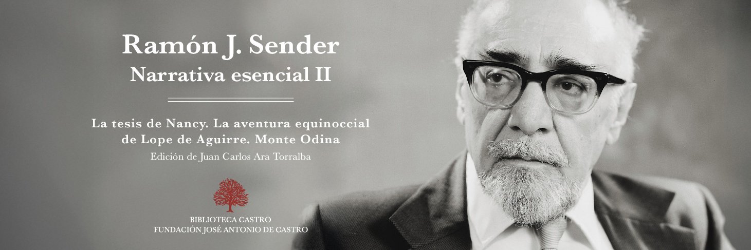 Biblioteca Castro banner