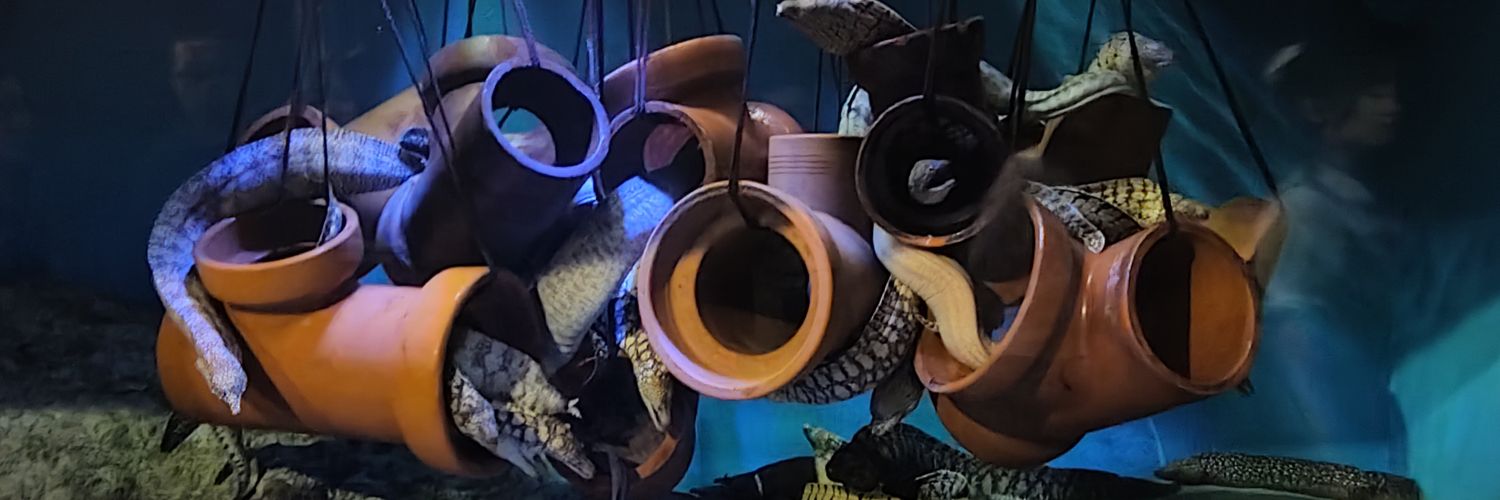 HARO_des's profile banner image