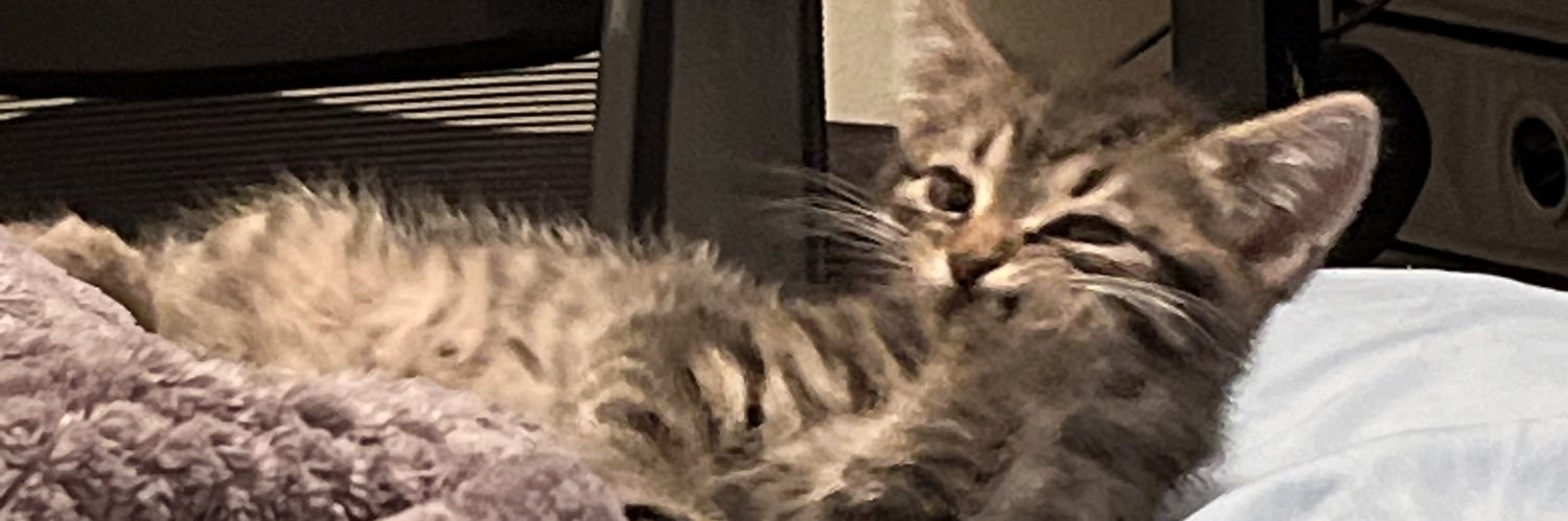 FierceReal's profile banner image