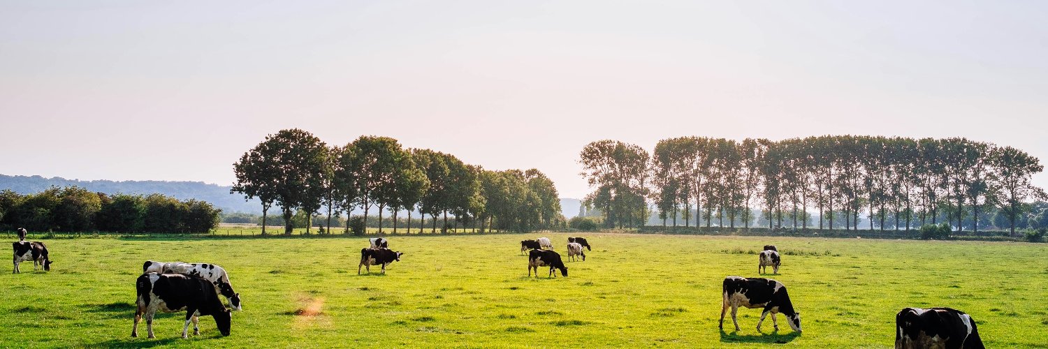 Dairy Industry Newsletter banner