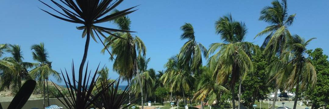 Sueyen Chirino banner