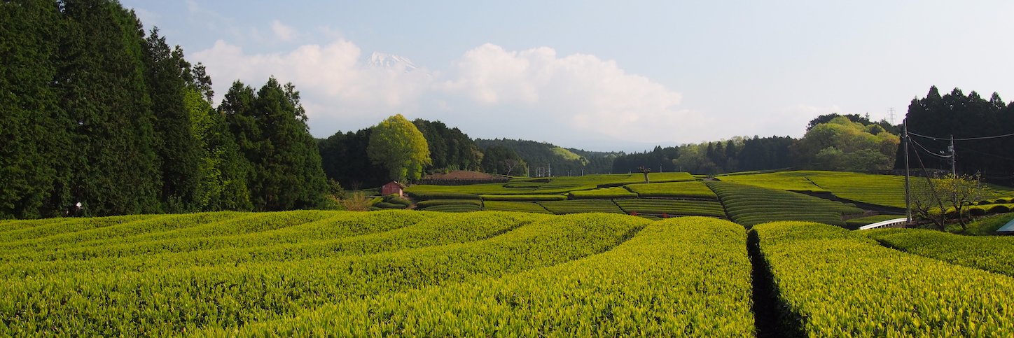asachatokyo's profile banner image