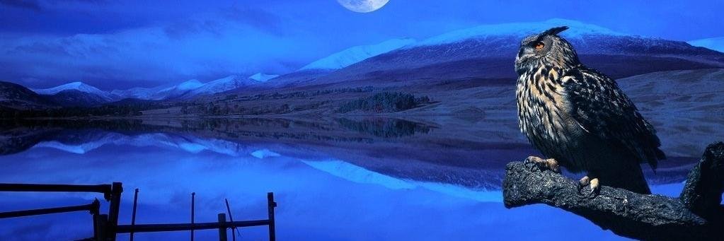 GosBlau2's profile banner image