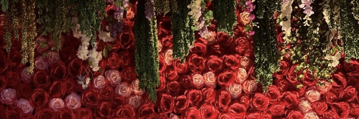 Débora Duarte e Silva banner