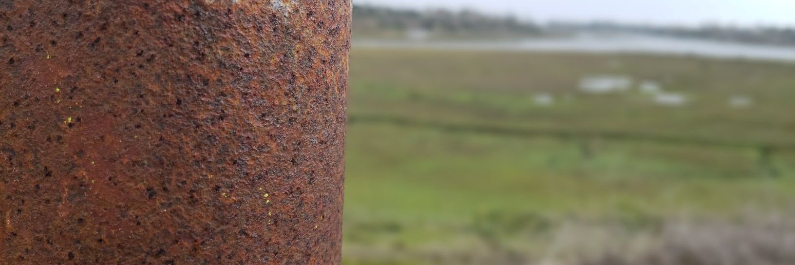 Nopar Anormal banner